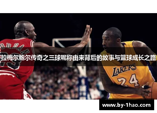 拉梅尔鲍尔传奇之三球昵称由来背后的故事与篮球成长之路