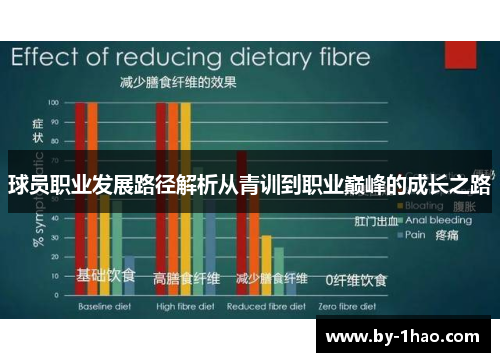 球员职业发展路径解析从青训到职业巅峰的成长之路