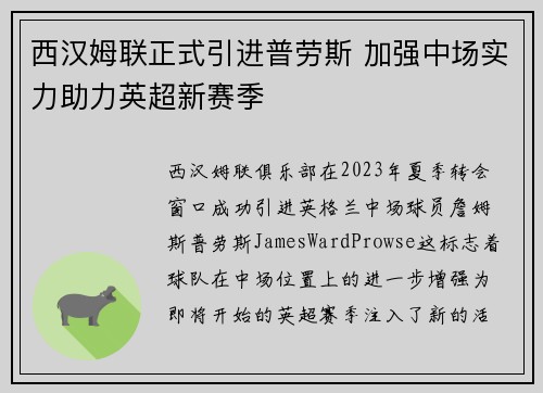 西汉姆联正式引进普劳斯 加强中场实力助力英超新赛季